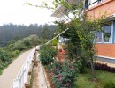 3 BHK Independent House for Sale in Ooty